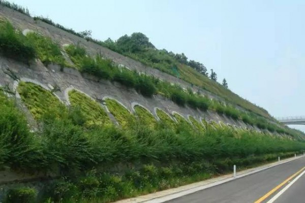 植生毯在复绿工程中施工技术要求